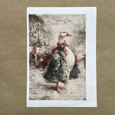 Распечатки ФМН10 18 х 12 см для вживления