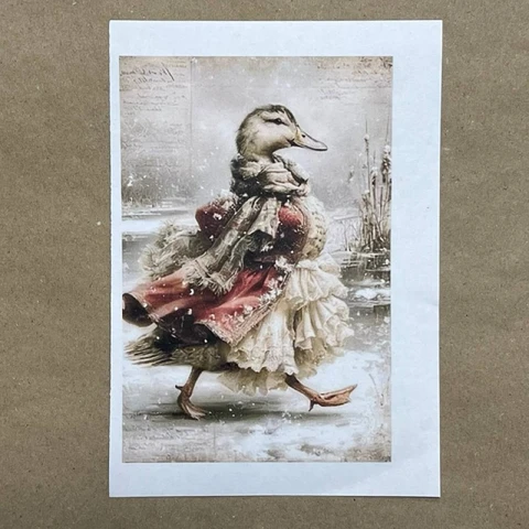 Распечатки ФМН10 18 х 12 см для вживления