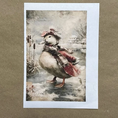 Распечатки ФМН10 18 х 12 см для вживления