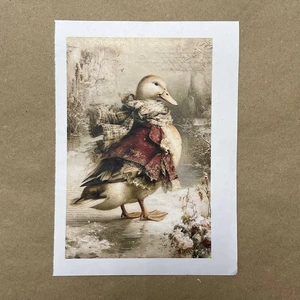 Распечатки ФМН10 18 х 12 см для вживления