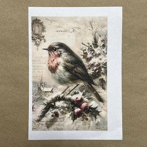 Распечатки ФМН11 18 х 12 см для вживления