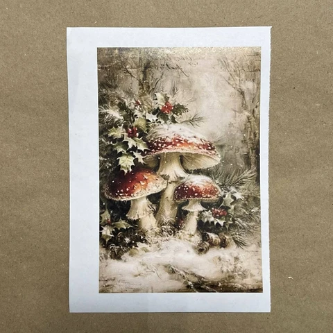 Распечатки ФМН13 18 х 12 см для вживления