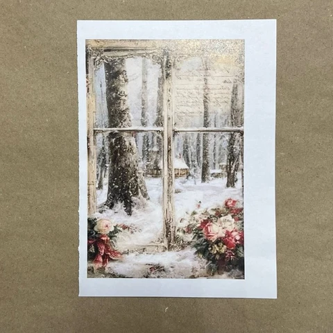 Распечатки ФМН14 18 х 12 см для вживления