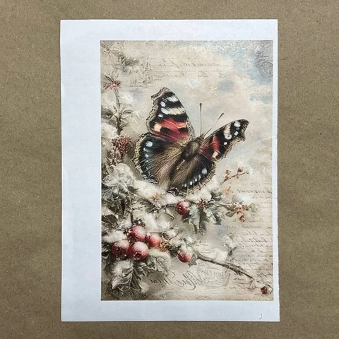 Распечатки ФМН15 18 х 12 см для вживления