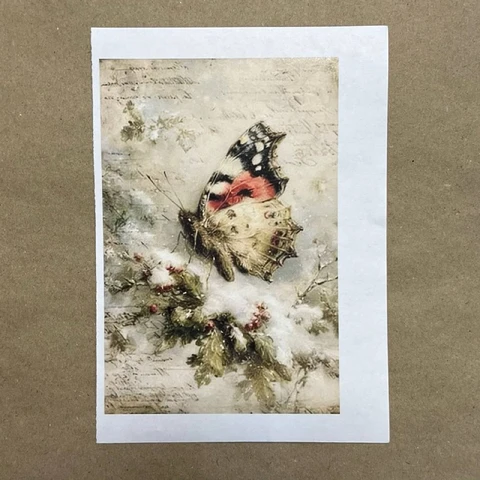 Распечатки ФМН15 18 х 12 см для вживления