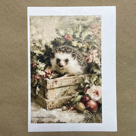 Распечатки ФМН16 18 х 12 см для вживления