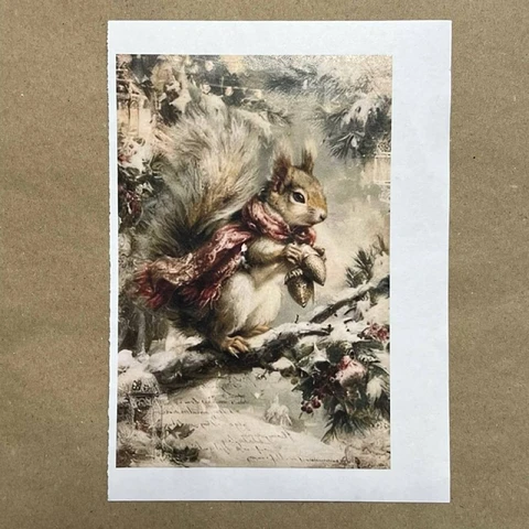 Распечатки ФМН16 18 х 12 см для вживления