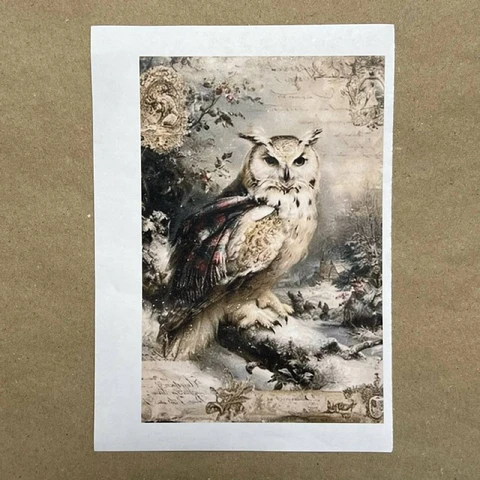 Распечатки ФМН17 18 х 12 см для вживления