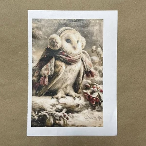 Распечатки ФМН17 18 х 12 см для вживления