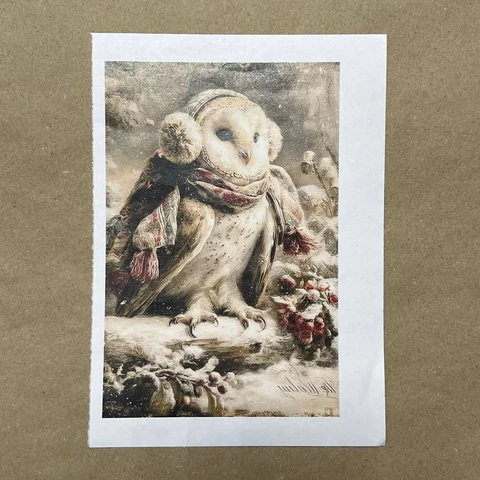 Распечатки ФМН17 18 х 12 см для вживления