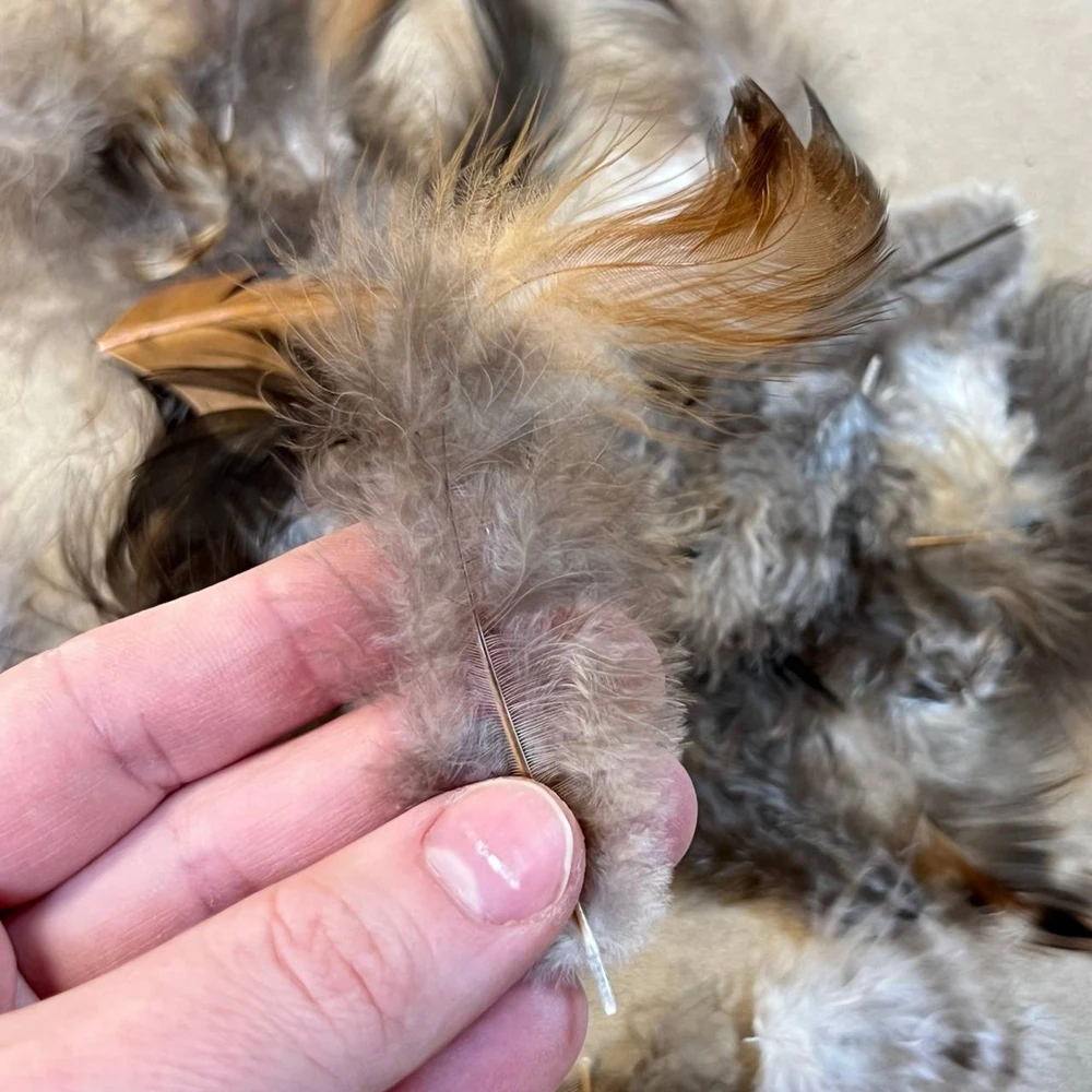 Перья натуральные для декора (микс)