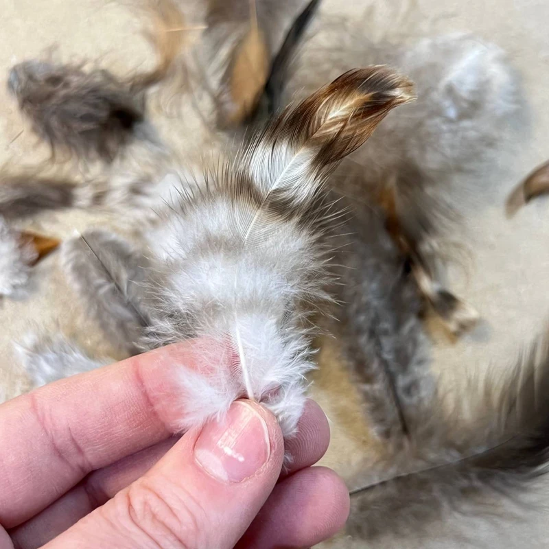 Перья натуральные для декора (микс)