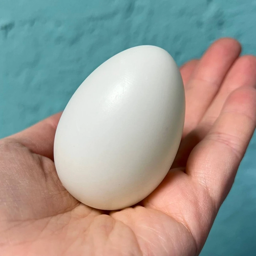 Яйцо пластиковое белое 6 см неразъёмное