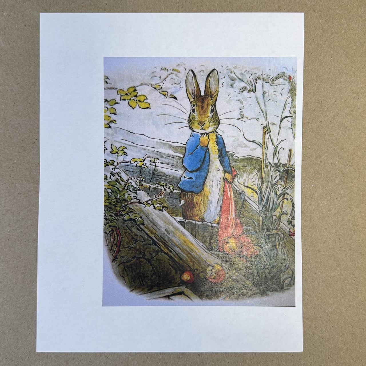 Распечатка ФМ12 15,5 х 12 см