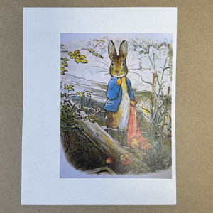 Распечатка ФМ12 15,5 х 12 см