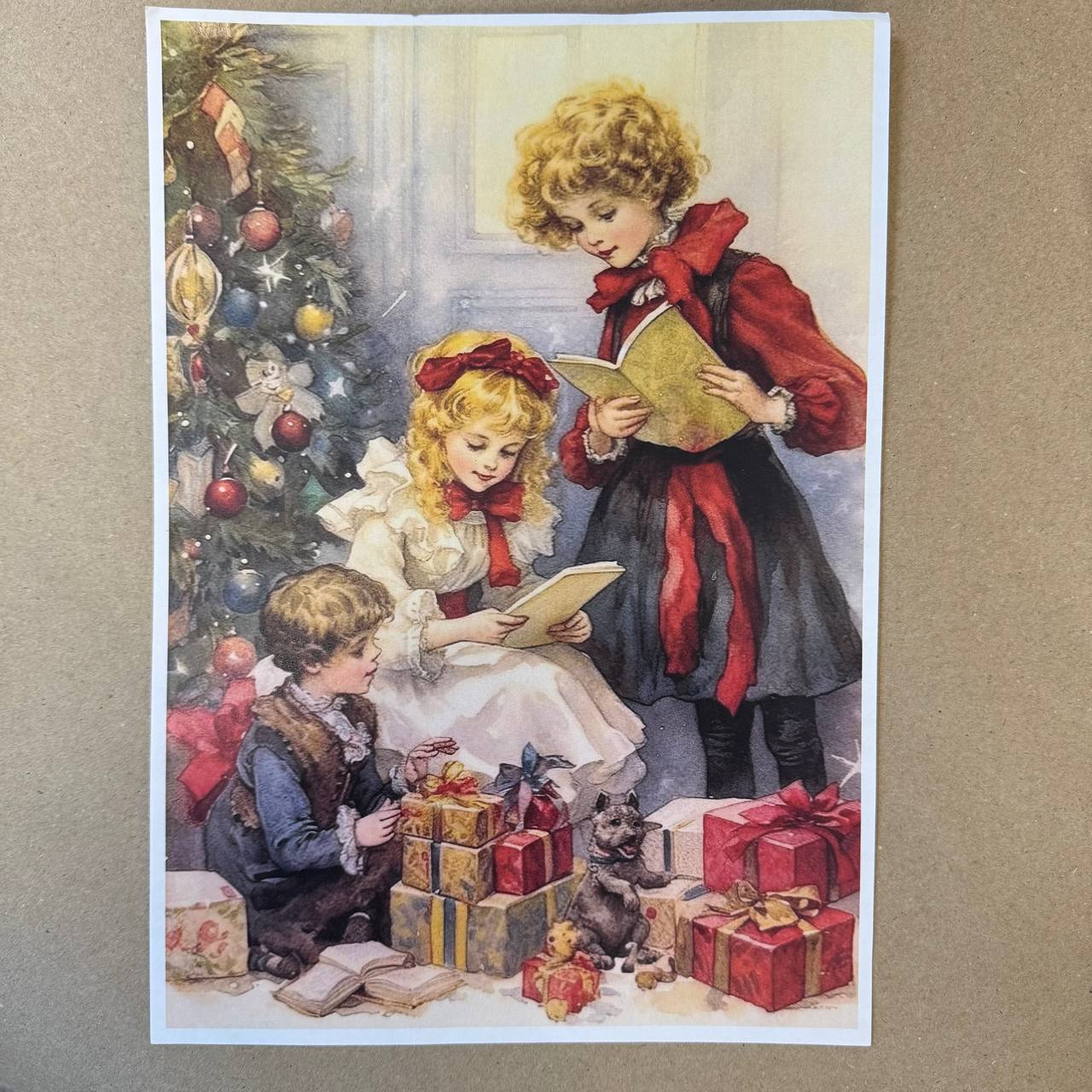 Распечатка ФБВ5 28,5 х 20 см