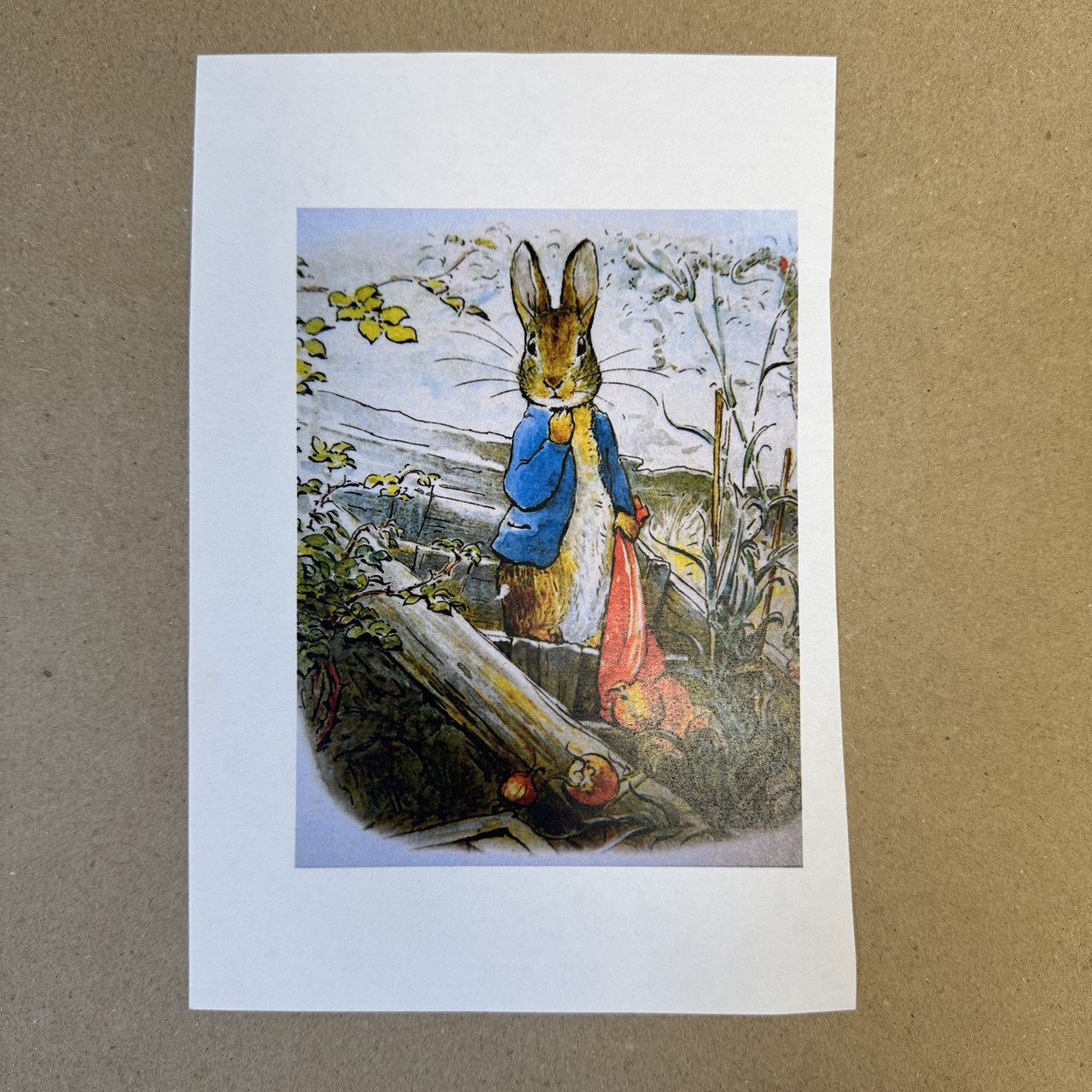 Распечатка ФМ12/1 14,5 х 11 см