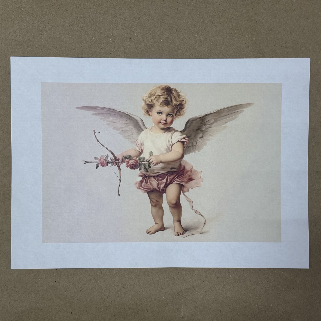 Распечатка ФСГ2 24 х 16 см