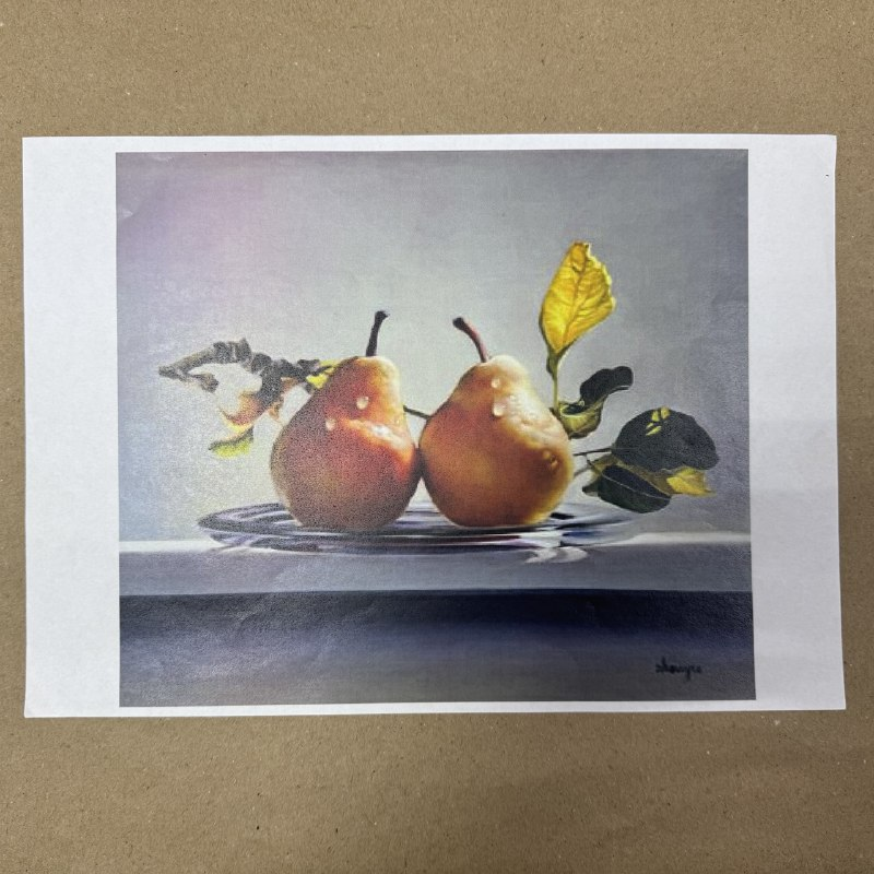 Распечатка ФБГ1 23 х 20 см