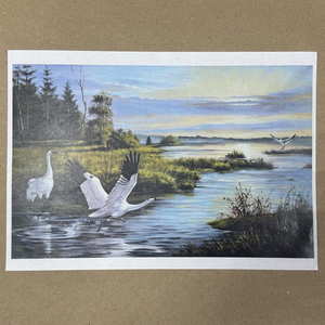 Распечатка ФБГ3 28,8 х 18,6 см