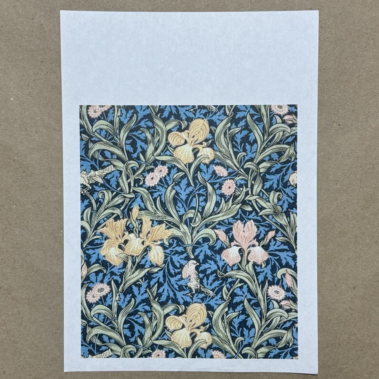 Распечатка Ф1 21 х 18 см