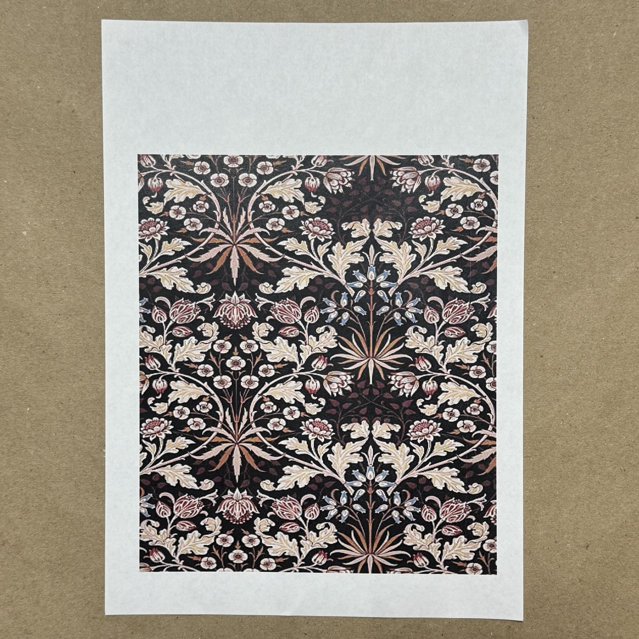 Распечатка Ф6 21 х 18 см