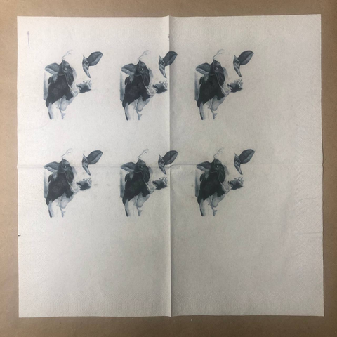 Набор салфеток НД16 6 штук