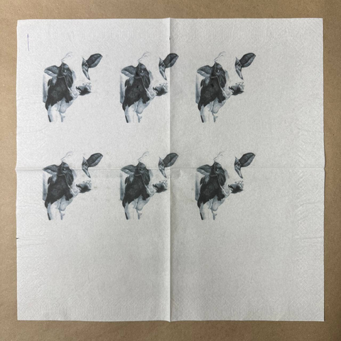 Набор салфеток НД17 9 штук