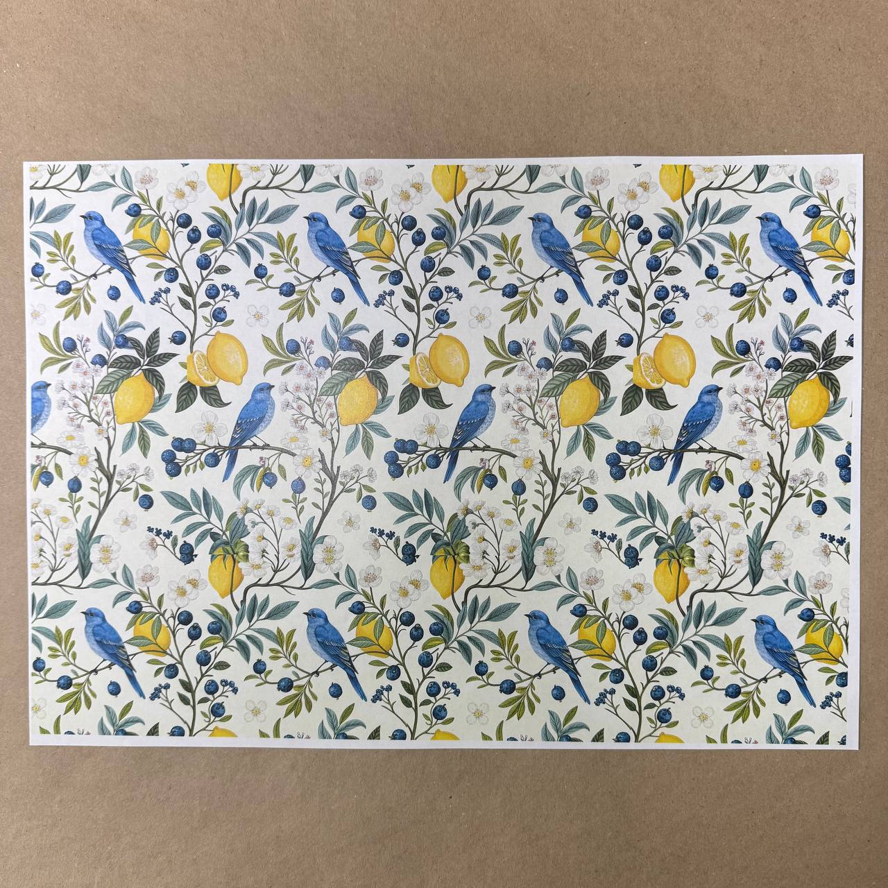 Распечатка Ф17 41,2 x 28,8 см