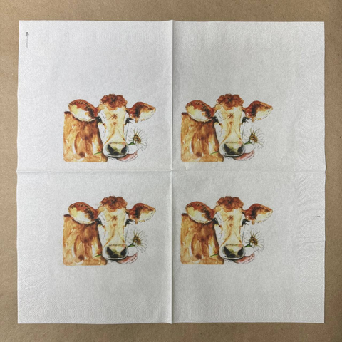 Набор салфеток НД21 9 штук